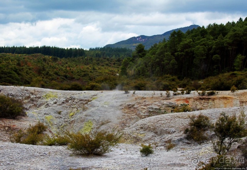 Альбом отзыва ""Священные воды" Wai O Tapu"