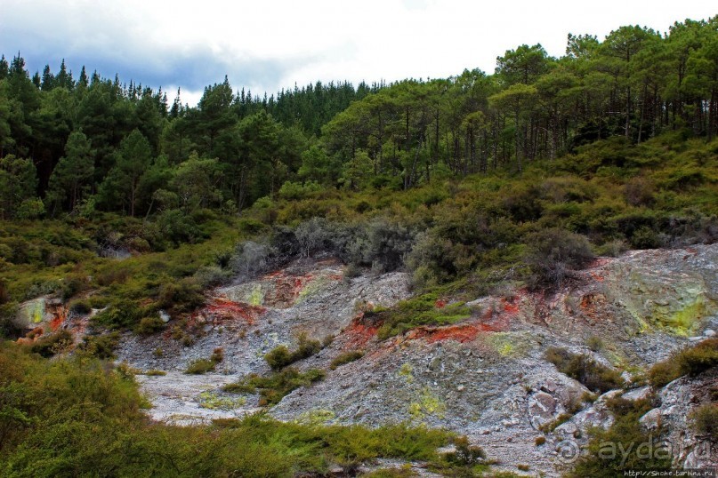 Альбом отзыва ""Священные воды" Wai O Tapu"