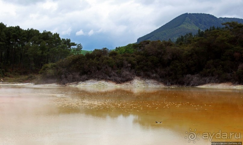 Альбом отзыва ""Священные воды" Wai O Tapu"