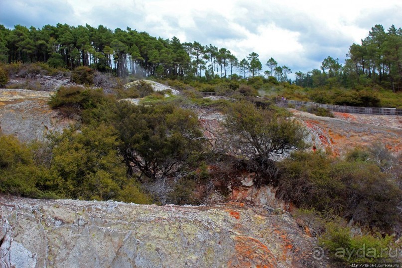 Альбом отзыва ""Священные воды" Wai O Tapu"