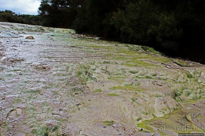 Альбом отзыва ""Священные воды" Wai O Tapu"