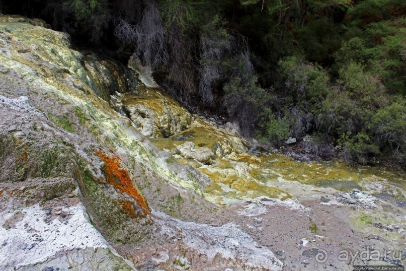 Альбом отзыва ""Священные воды" Wai O Tapu"