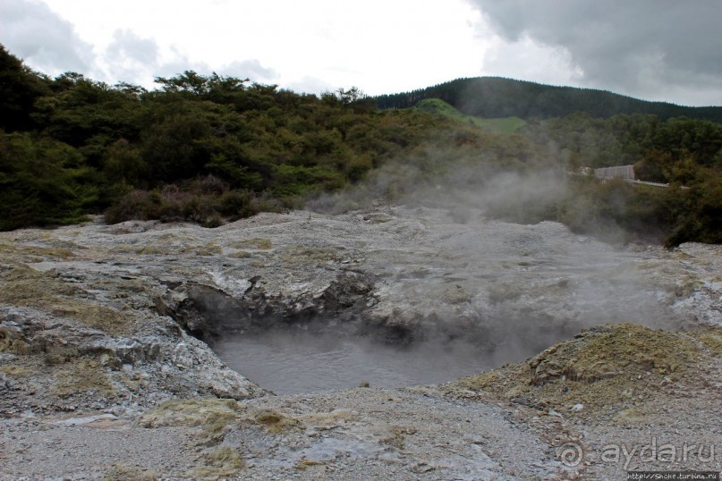 Альбом отзыва ""Священные воды" Wai O Tapu"