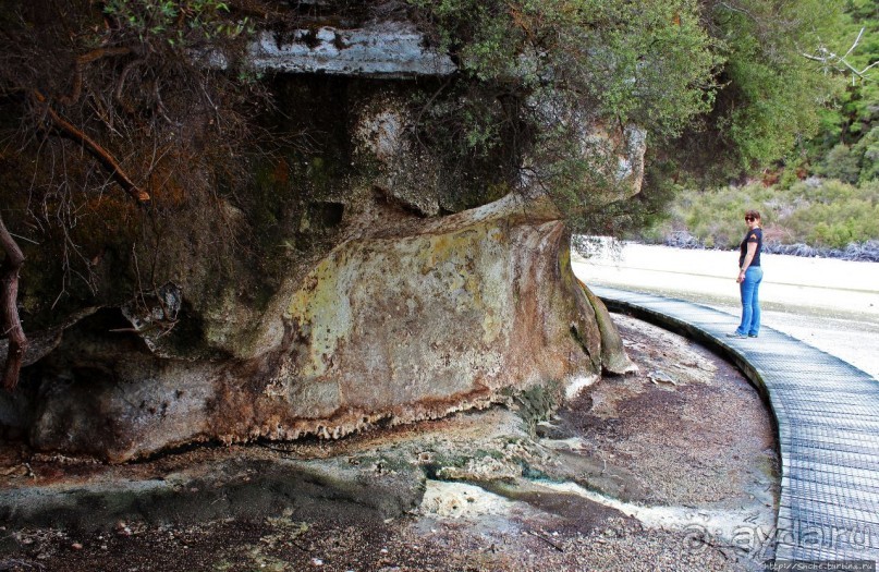 Альбом отзыва ""Священные воды" Wai O Tapu"