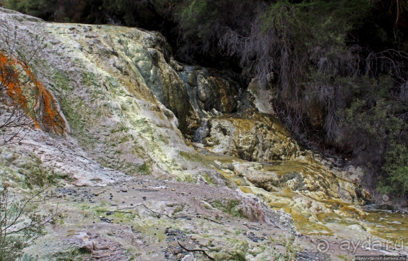 Альбом отзыва ""Священные воды" Wai O Tapu"