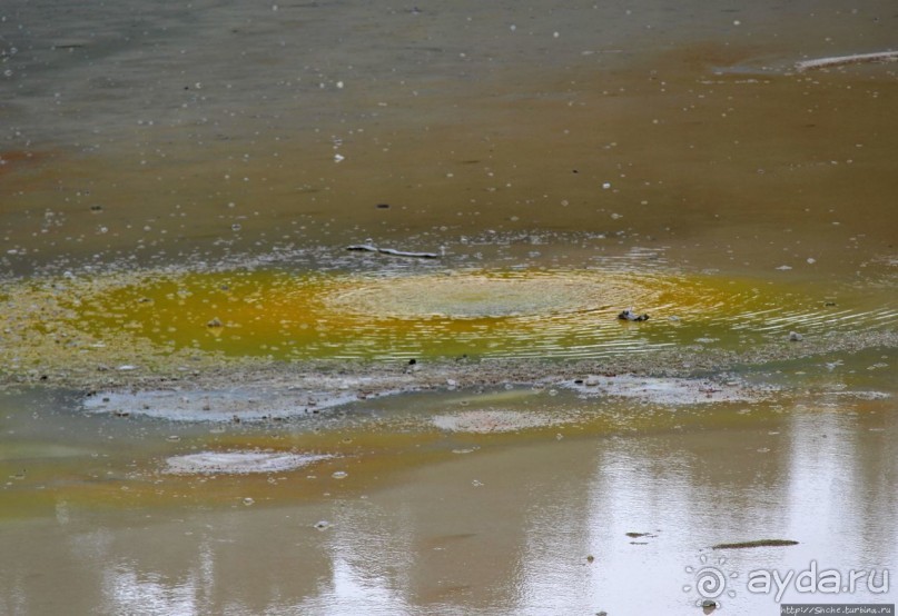 Альбом отзыва ""Священные воды" Wai O Tapu"