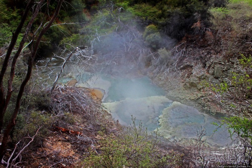 Альбом отзыва ""Священные воды" Wai O Tapu"