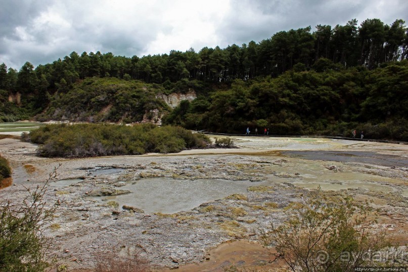 Альбом отзыва ""Священные воды" Wai O Tapu"