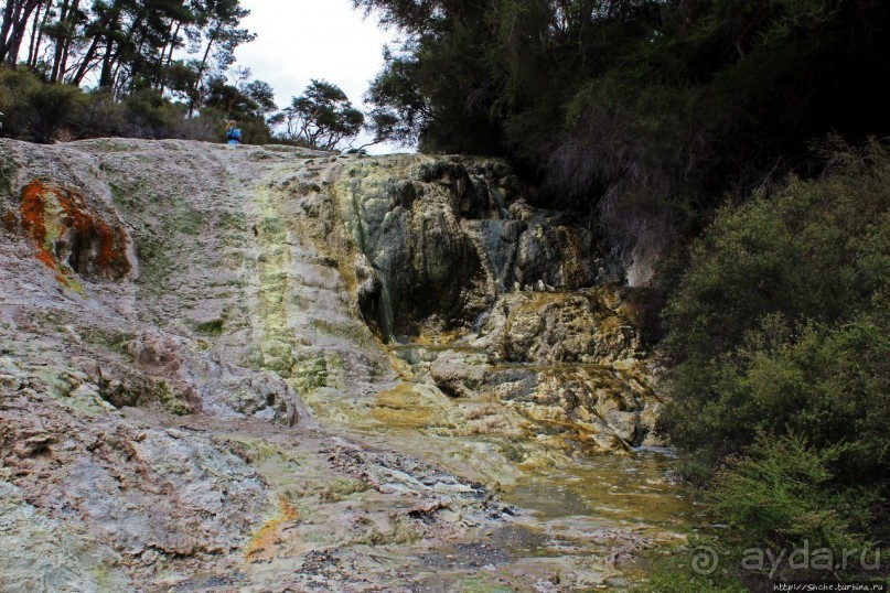 Альбом отзыва ""Священные воды" Wai O Tapu"