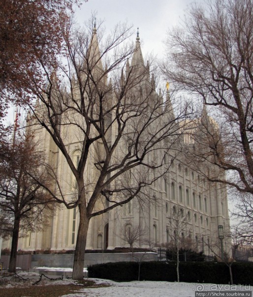 Альбом отзыва "Salt Lake Temple, или поосторожнее надо с мормонами."