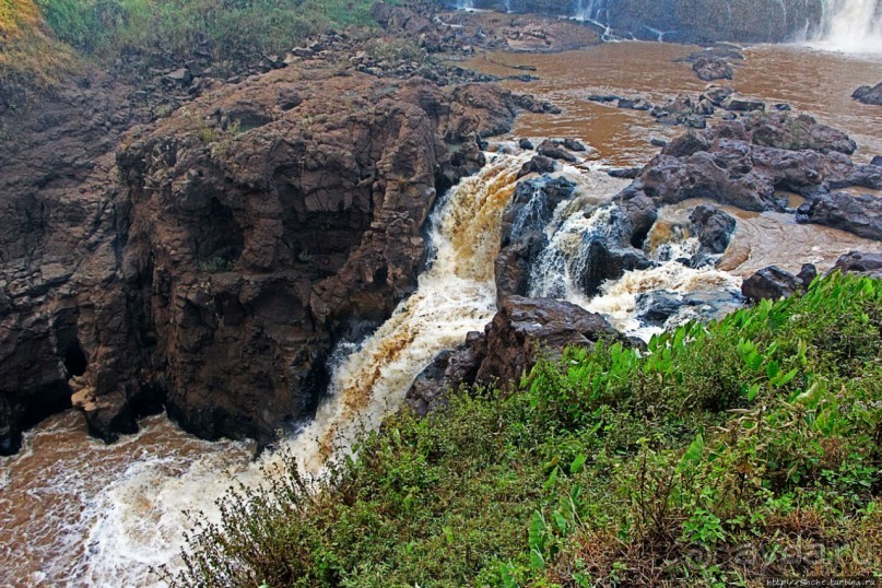 Альбом отзыва "Водопады Голубого Нила. И не так уж плохо"