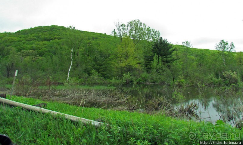 Альбом отзыва "Городок West Stockbridge, случайное знакомство"