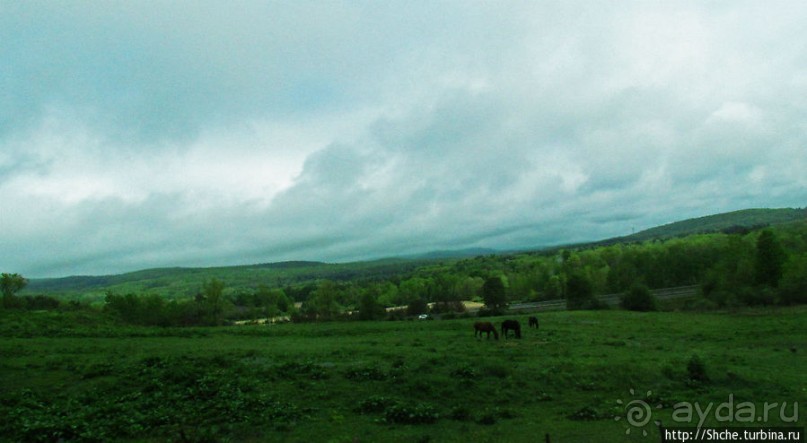 Альбом отзыва "Городок West Stockbridge, случайное знакомство"