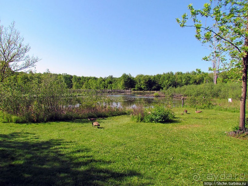 Альбом отзыва "Озеро в парке North Chagrin Reservation под Кливлендом"