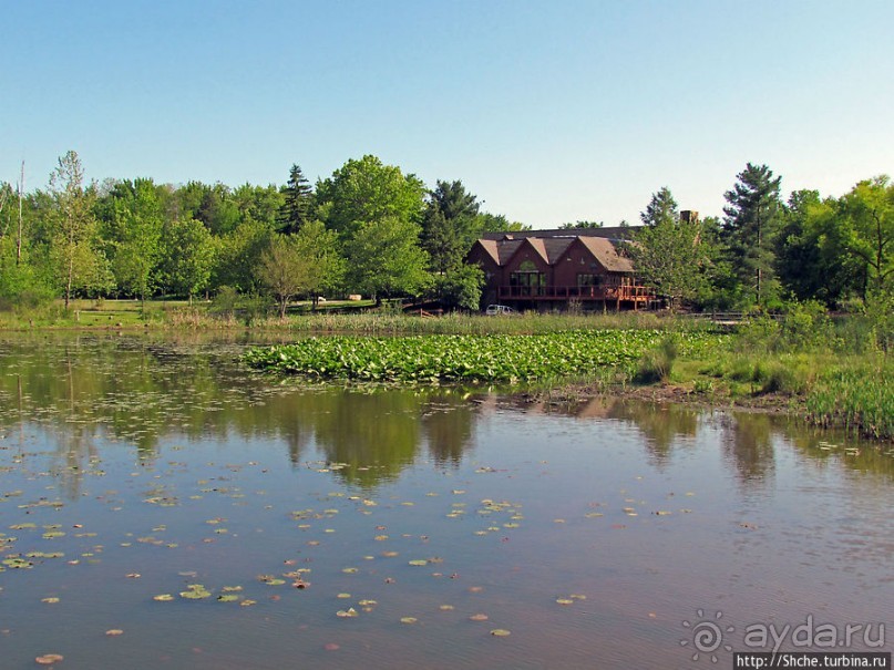 Альбом отзыва "Озеро в парке North Chagrin Reservation под Кливлендом"