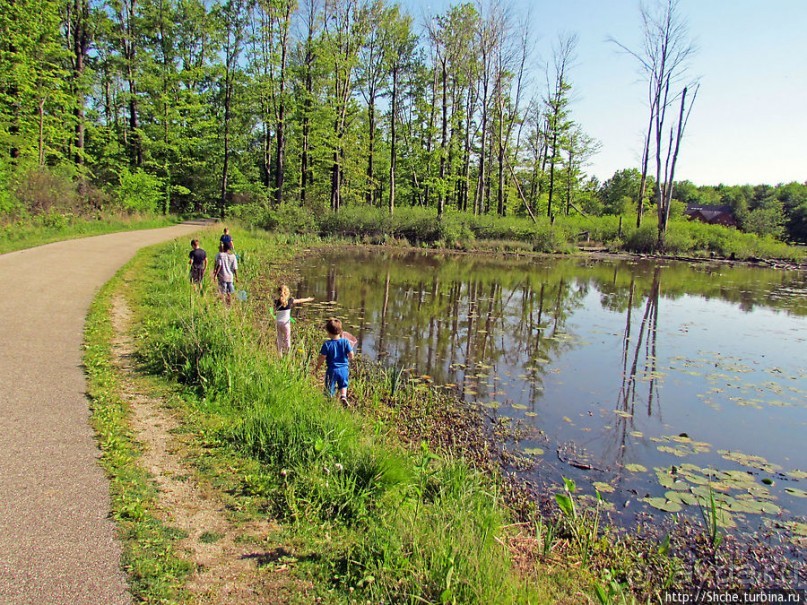 Альбом отзыва "Озеро в парке North Chagrin Reservation под Кливлендом"