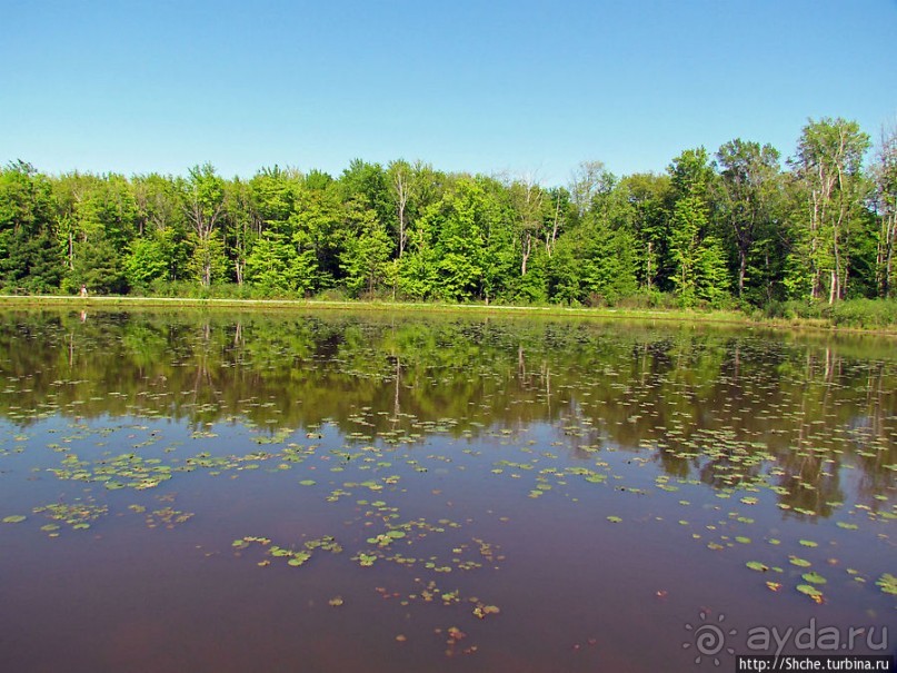 Альбом отзыва "Озеро в парке North Chagrin Reservation под Кливлендом"