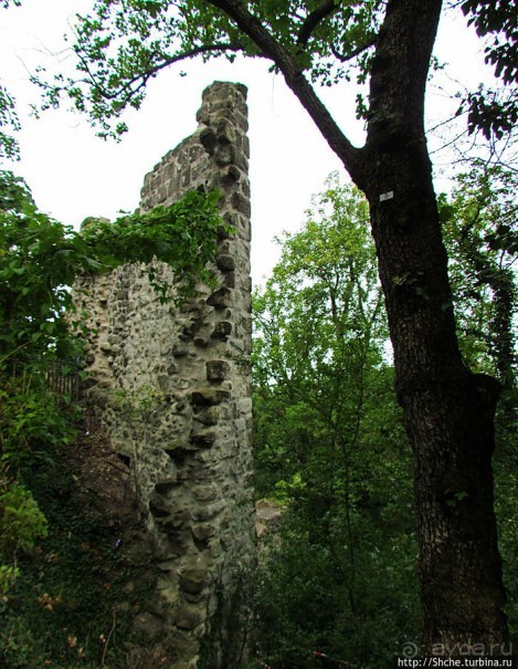 Альбом отзыва "Руины замка Драхенфельс на вершине Скалы Дракона Drachenfels"