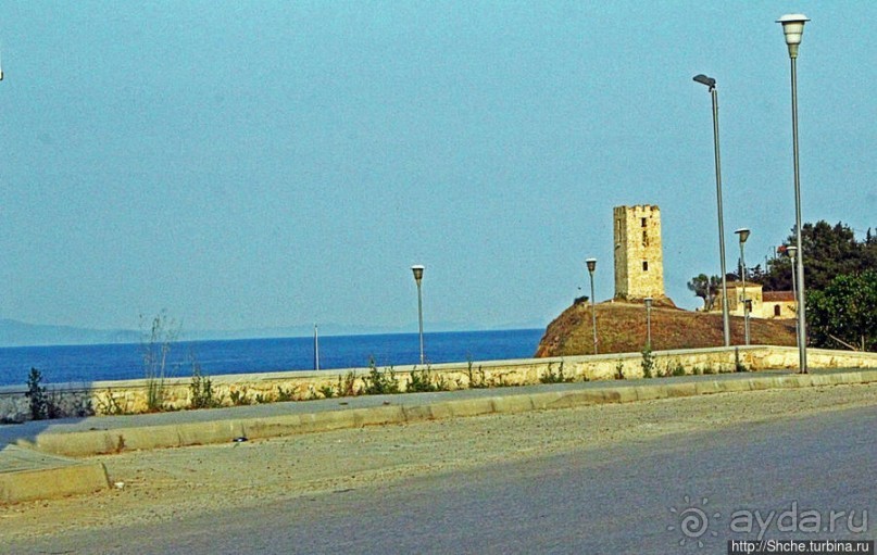 Альбом отзыва "Греческие картинки — сосны да оливки (обычный фотоальбом)"