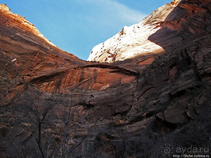 Альбом отзыва "Погружение в каньон Зион. Zion Canyon Scenic Drive"