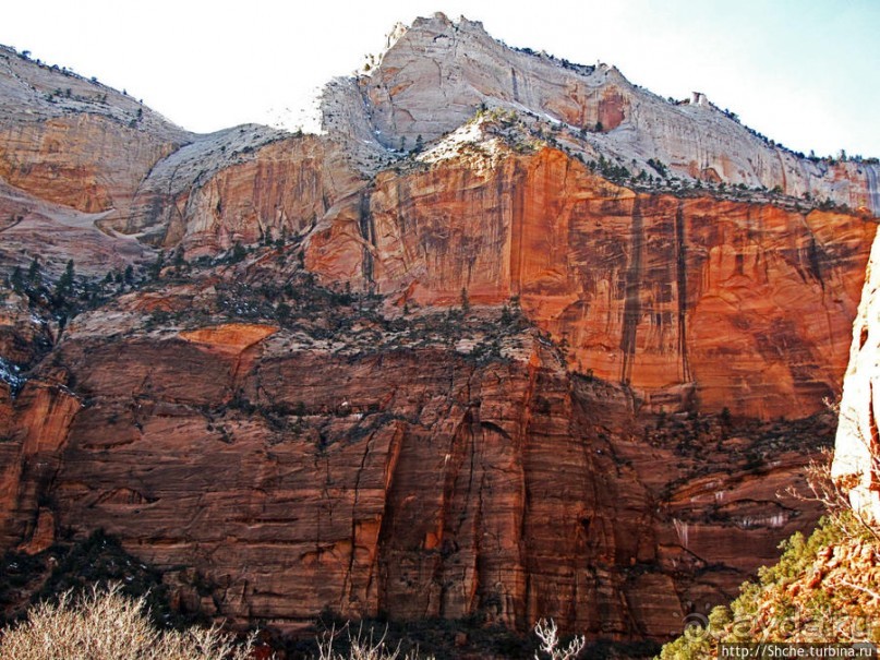 Альбом отзыва "Погружение в каньон Зион. Zion Canyon Scenic Drive"