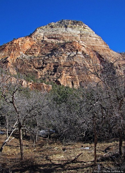 Альбом отзыва "Погружение в каньон Зион. Zion Canyon Scenic Drive"