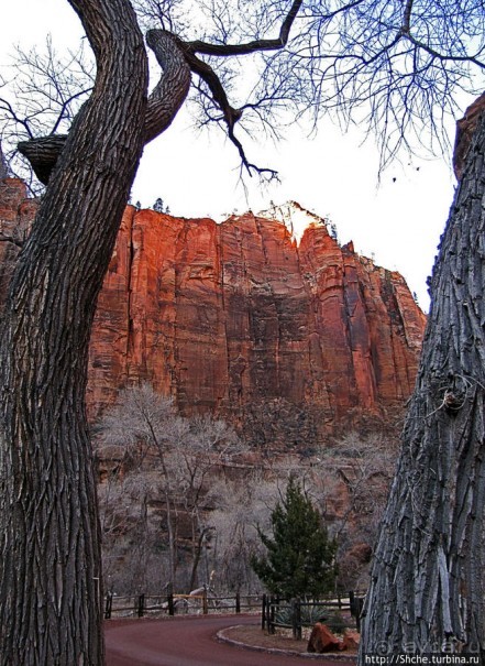 Альбом отзыва "Погружение в каньон Зион. Zion Canyon Scenic Drive"