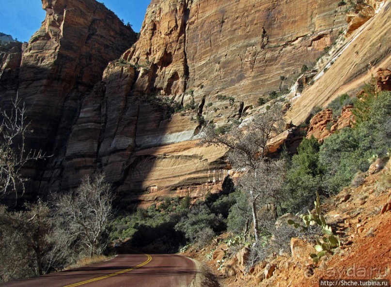 Альбом отзыва "Погружение в каньон Зион. Zion Canyon Scenic Drive"