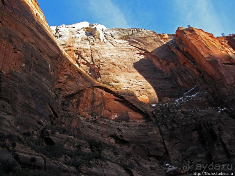 Альбом отзыва "Погружение в каньон Зион. Zion Canyon Scenic Drive"