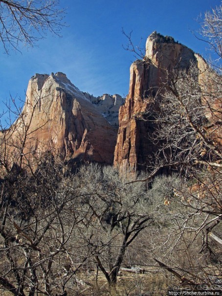 Альбом отзыва "Погружение в каньон Зион. Zion Canyon Scenic Drive"