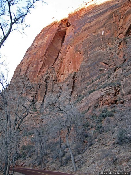 Альбом отзыва "Погружение в каньон Зион. Zion Canyon Scenic Drive"