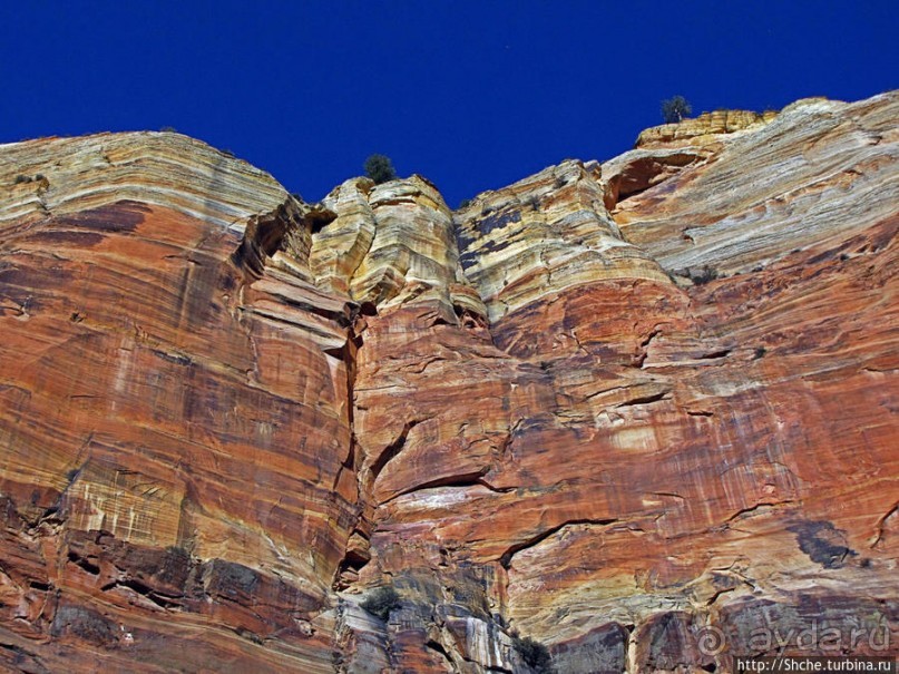 Альбом отзыва "Погружение в каньон Зион. Zion Canyon Scenic Drive"