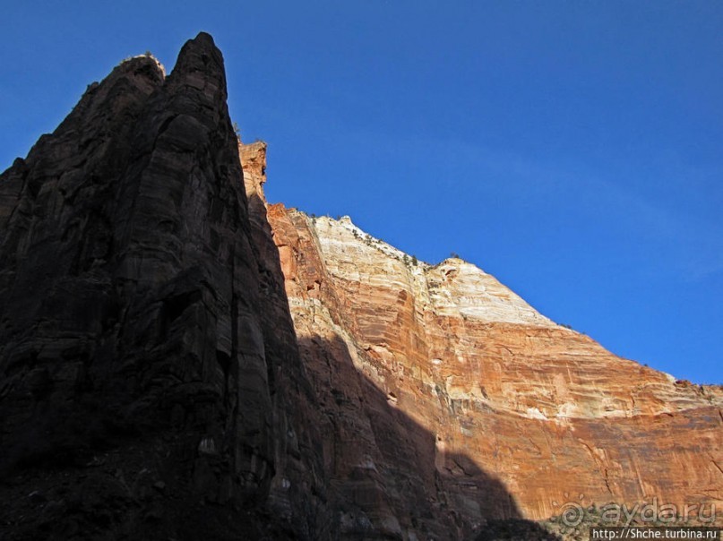 Альбом отзыва "Погружение в каньон Зион. Zion Canyon Scenic Drive"