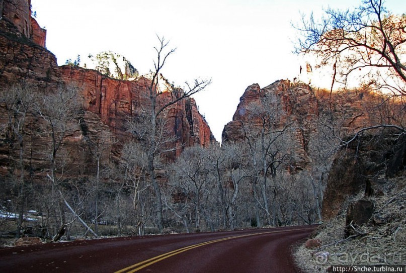 Альбом отзыва "Погружение в каньон Зион. Zion Canyon Scenic Drive"