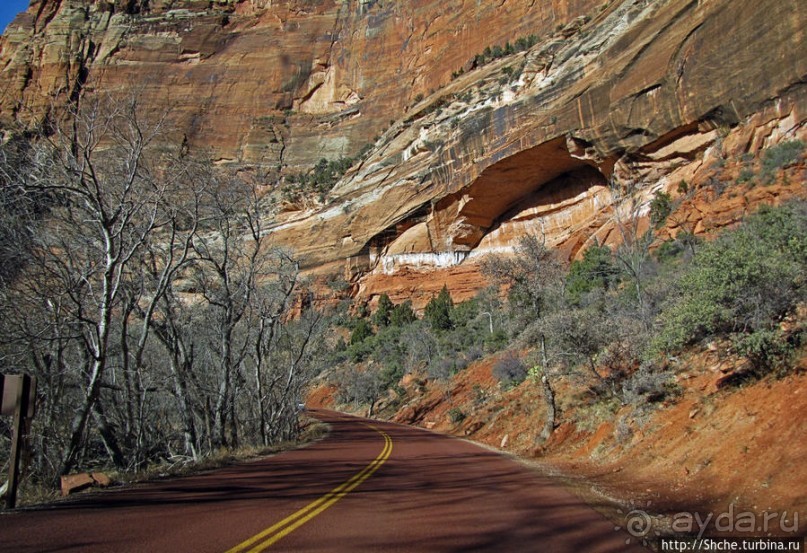 Альбом отзыва "Погружение в каньон Зион. Zion Canyon Scenic Drive"