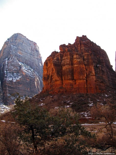 Альбом отзыва "Погружение в каньон Зион. Zion Canyon Scenic Drive"