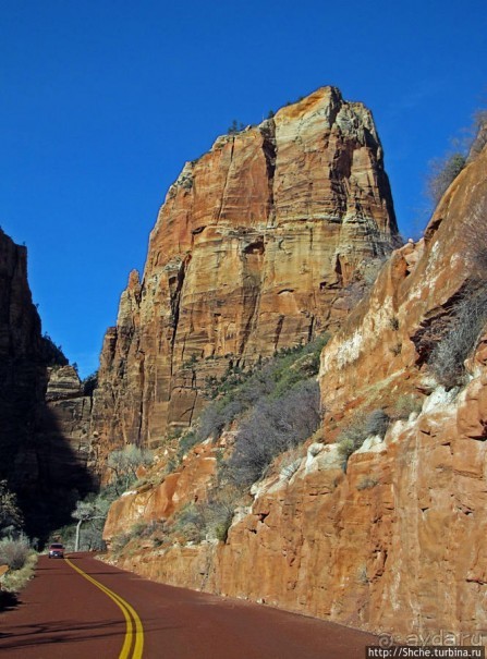 Альбом отзыва "Погружение в каньон Зион. Zion Canyon Scenic Drive"