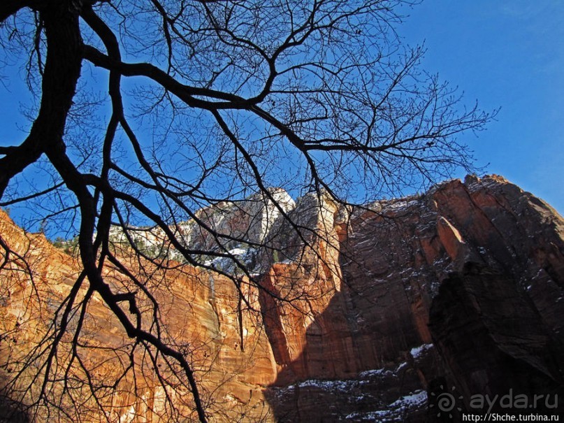 Альбом отзыва "Погружение в каньон Зион. Zion Canyon Scenic Drive"