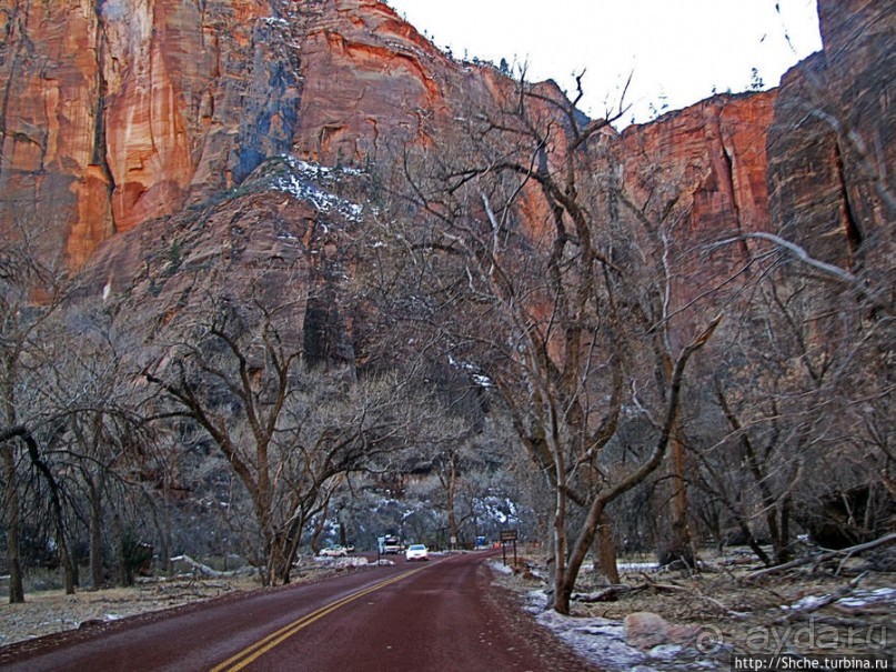 Альбом отзыва "Погружение в каньон Зион. Zion Canyon Scenic Drive"