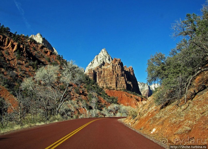 Альбом отзыва "Погружение в каньон Зион. Zion Canyon Scenic Drive"