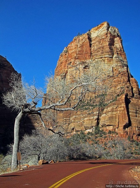 Альбом отзыва "Погружение в каньон Зион. Zion Canyon Scenic Drive"