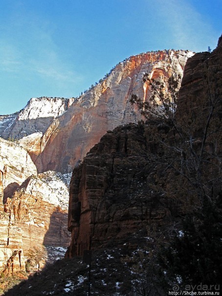 Альбом отзыва "Погружение в каньон Зион. Zion Canyon Scenic Drive"