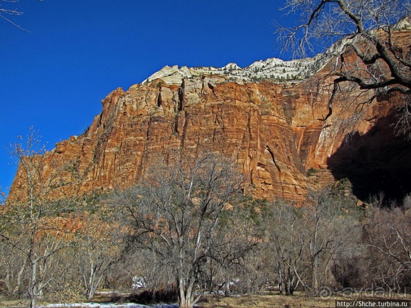 Альбом отзыва "Погружение в каньон Зион. Zion Canyon Scenic Drive"