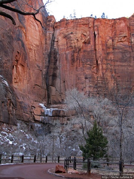 Альбом отзыва "Погружение в каньон Зион. Zion Canyon Scenic Drive"