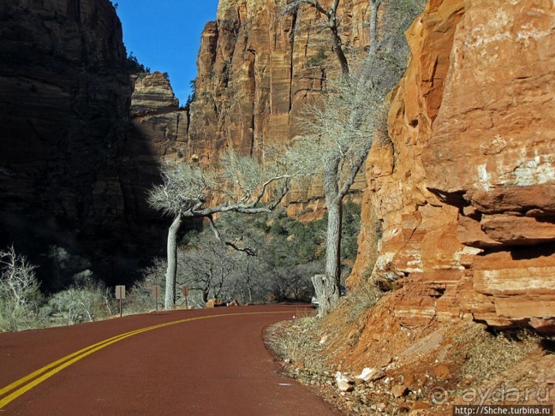 Альбом отзыва "Погружение в каньон Зион. Zion Canyon Scenic Drive"