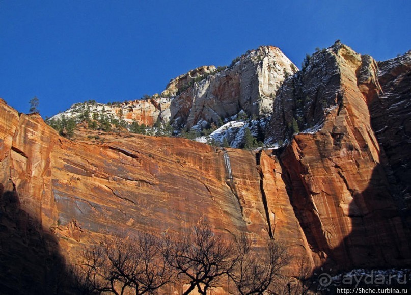 Альбом отзыва "Погружение в каньон Зион. Zion Canyon Scenic Drive"