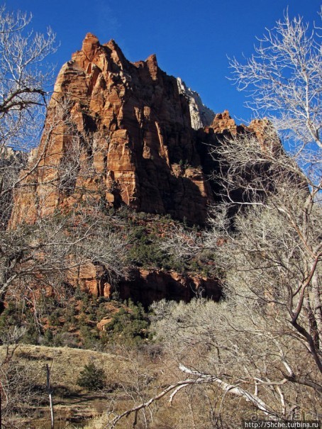 Альбом отзыва "Погружение в каньон Зион. Zion Canyon Scenic Drive"