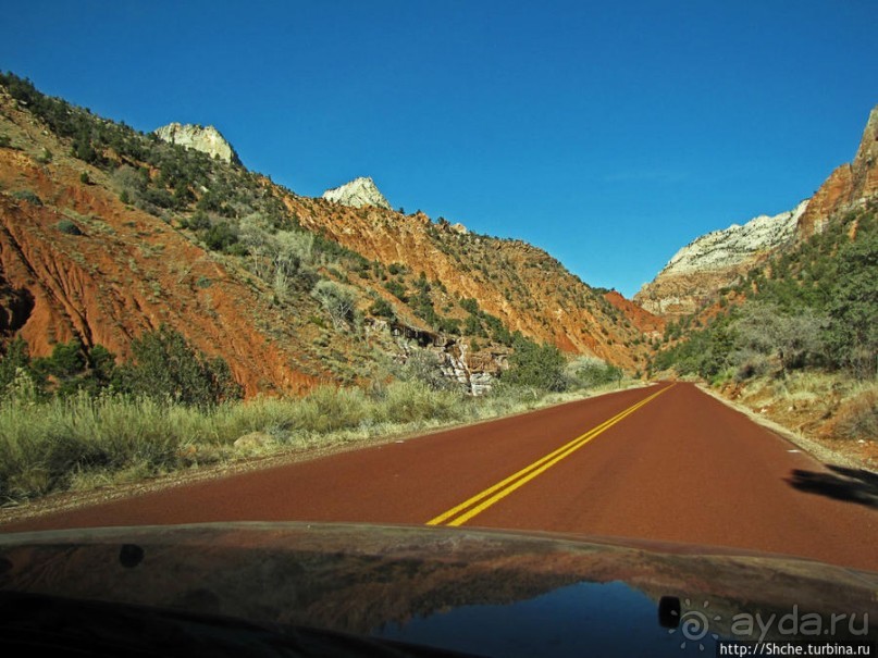 Альбом отзыва "Погружение в каньон Зион. Zion Canyon Scenic Drive"