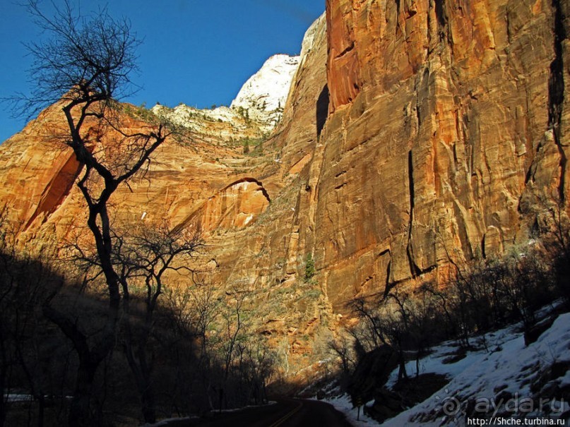 Альбом отзыва "Погружение в каньон Зион. Zion Canyon Scenic Drive"