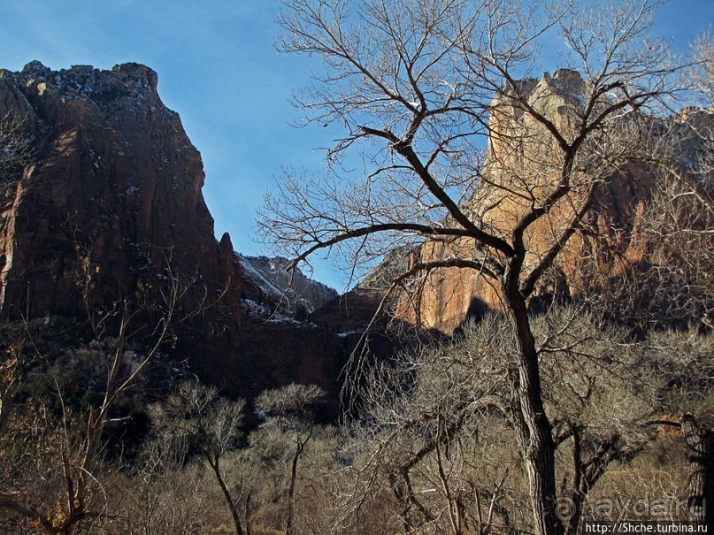 Альбом отзыва "Погружение в каньон Зион. Zion Canyon Scenic Drive"